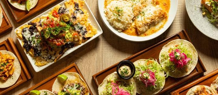 Expo profesional Chefmex  Gourmet